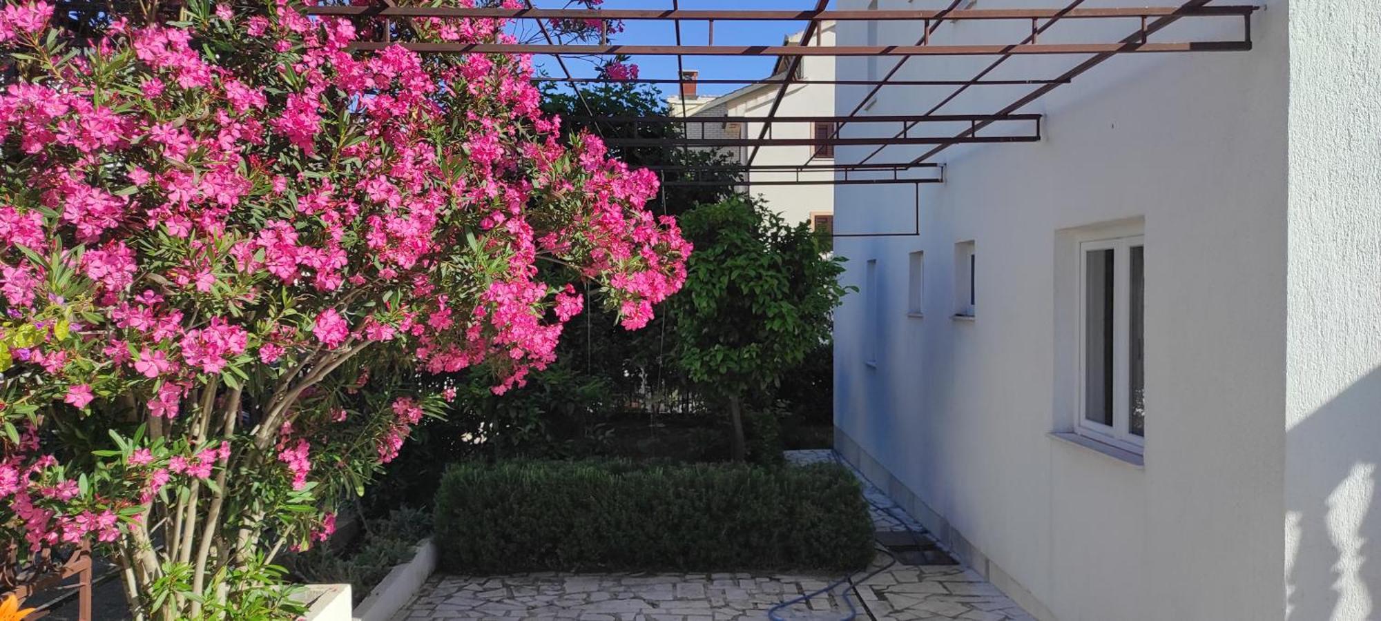 Villa Dusper Trogir Ngoại thất bức ảnh